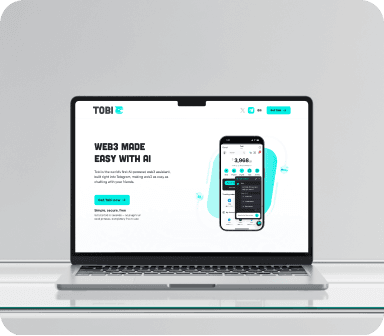 Website development