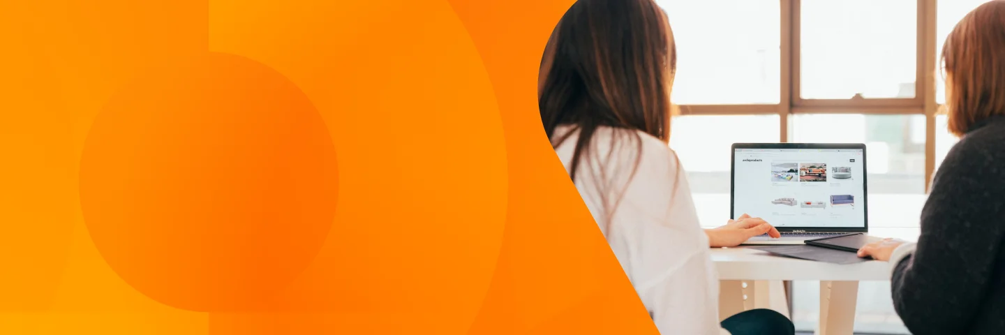 Website development